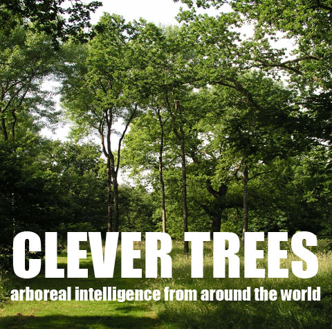 Clever Trees