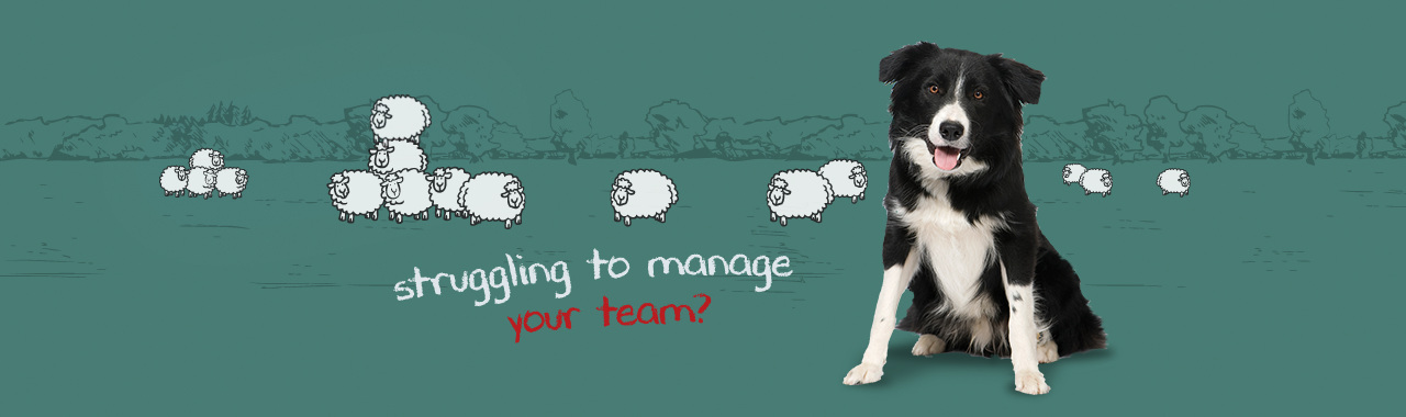 MANAGING DIFFICULT TEAMS